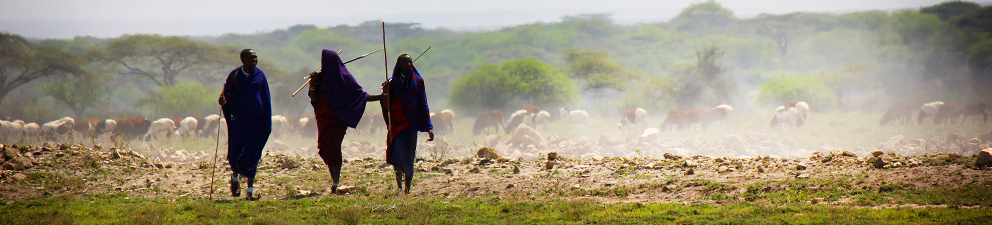 voyage en tanzanie danger