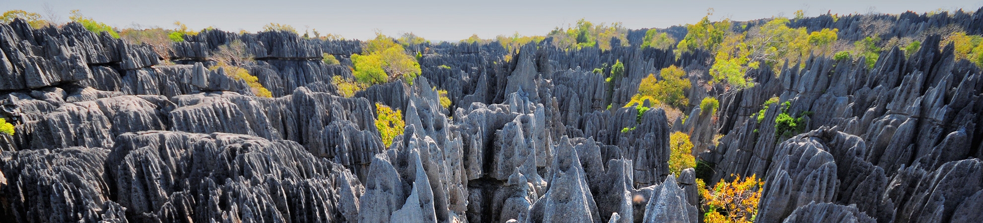 Voyage à Madagascar Sur Mesure, Le Spécialiste Marco Vasco