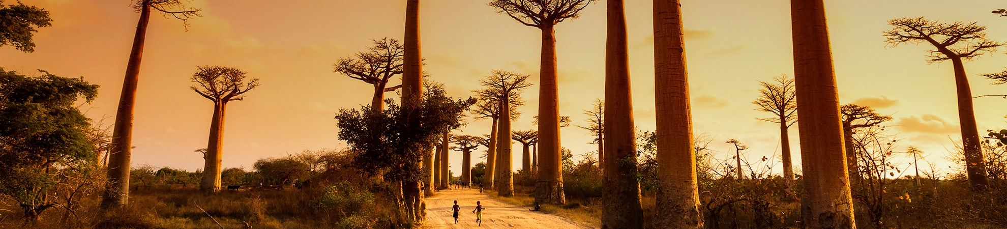 Séjour Madagascar