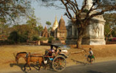 activity Bagan à vélo