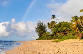 Séjour Hawaii : comment préparer un séjour de rêve sur l’île Hawai et visiter d'autres îles paradisiaque de l'archipel ?