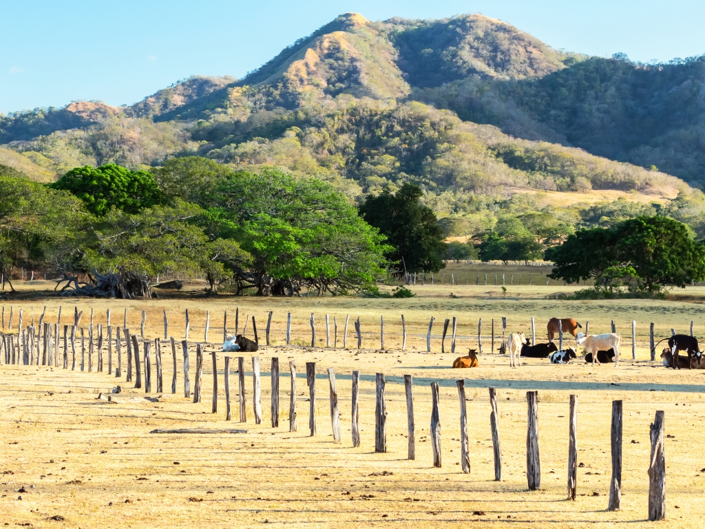 Guanacaste : Terres de Cow-boys