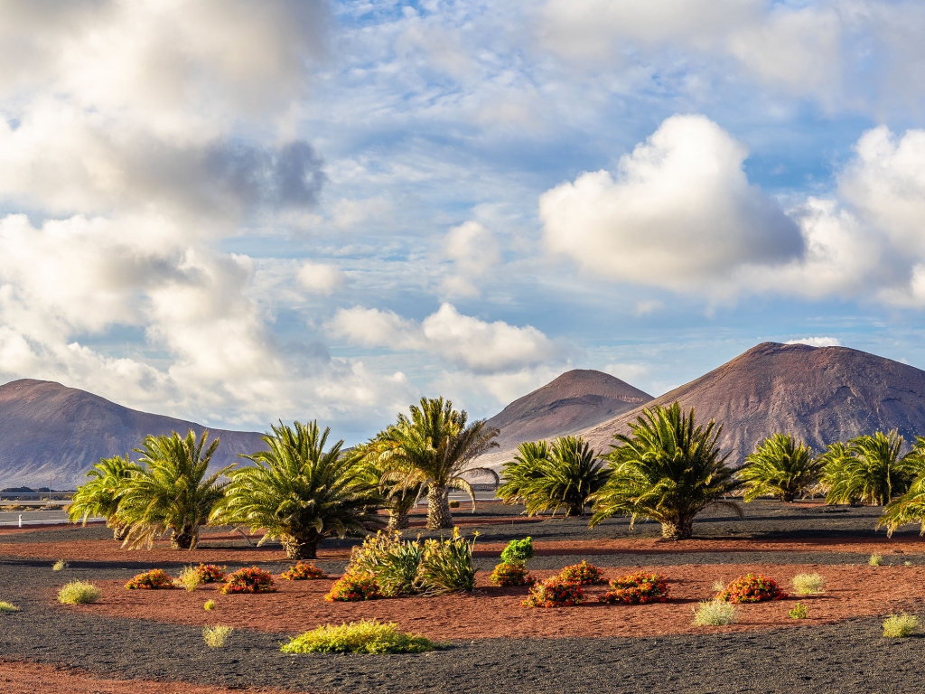 Timanfaya, joyau volcanique de Lanzarote !