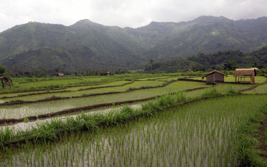 Balade dans les rizières, Tirtagangga, Goa Lawah