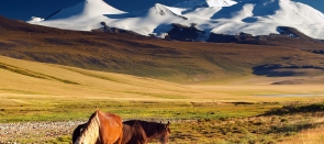 Steppes mongoles et désert de Gobi