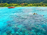 Snorkeling Bali