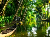 Backwaters à Allepey: voyage Kerala