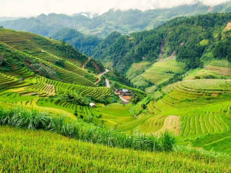Les plus belles rizières en terrasse