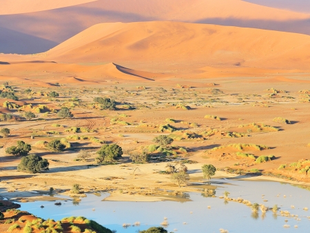 Spectaculaires dunes rougeoyantes de Sossusvlei (180km)