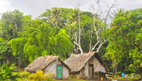 Voyage à Vanuatu