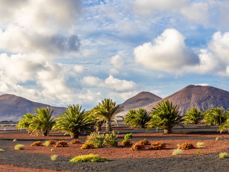 Timanfaya, joyau volcanique de Lanzarote !