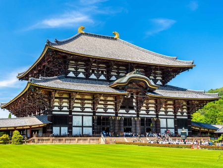 Nara : temples anciens et daims en liberté