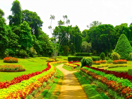 Jardins, temple et danses à Kandy