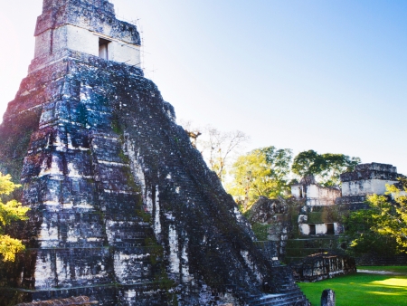 Immersion dans la civilisation Maya à Tikal