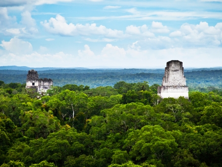 Immersion dans la civilisation Maya à Tikal
